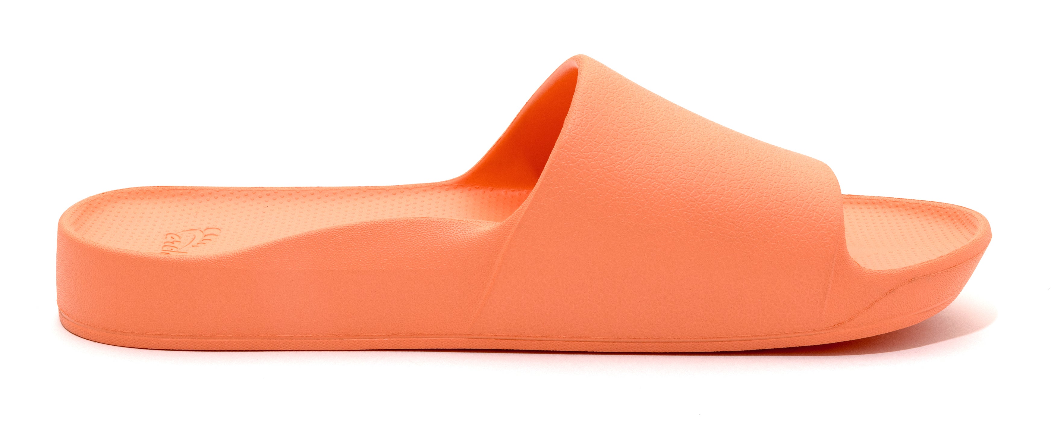 Peach Slides 